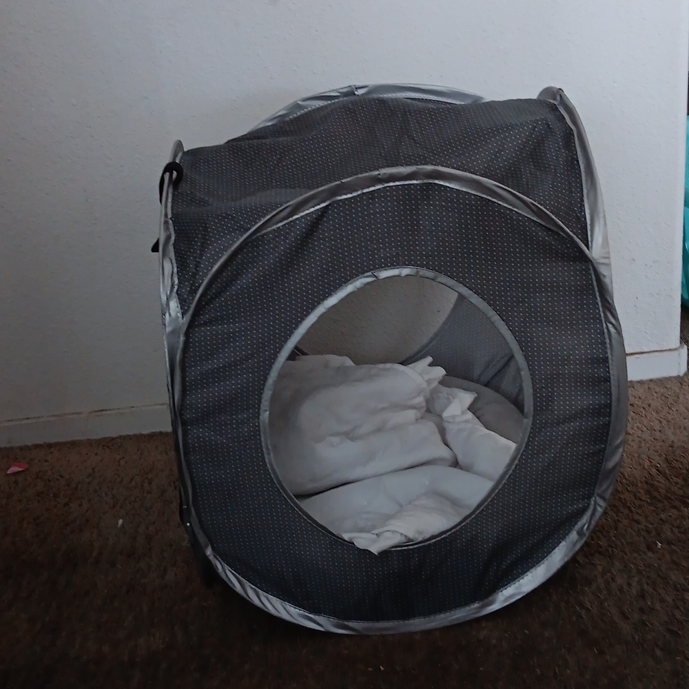 COPY - A cat bed